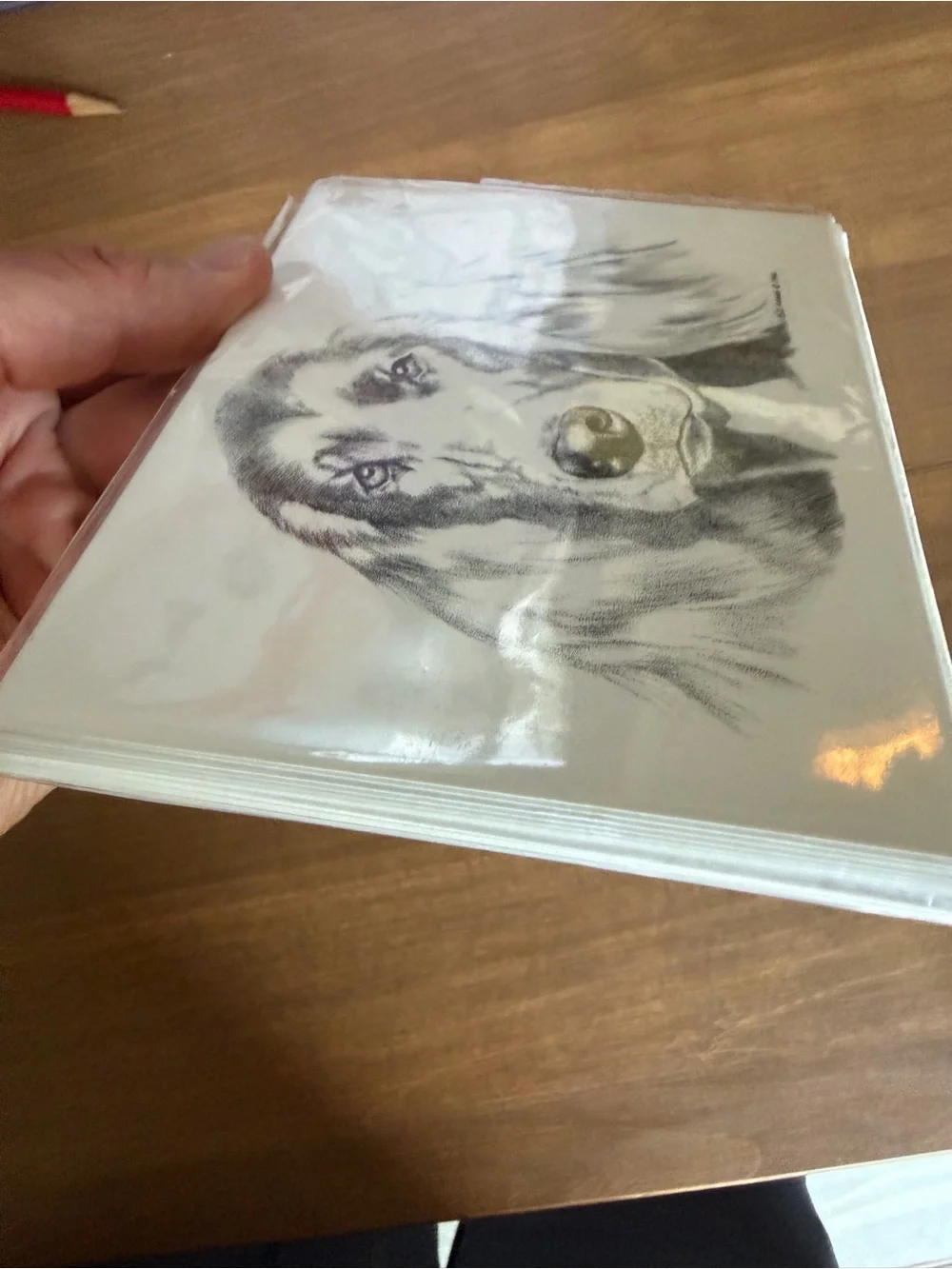 Irish Setter Dog Note Cards (8) Fine Art Drawing